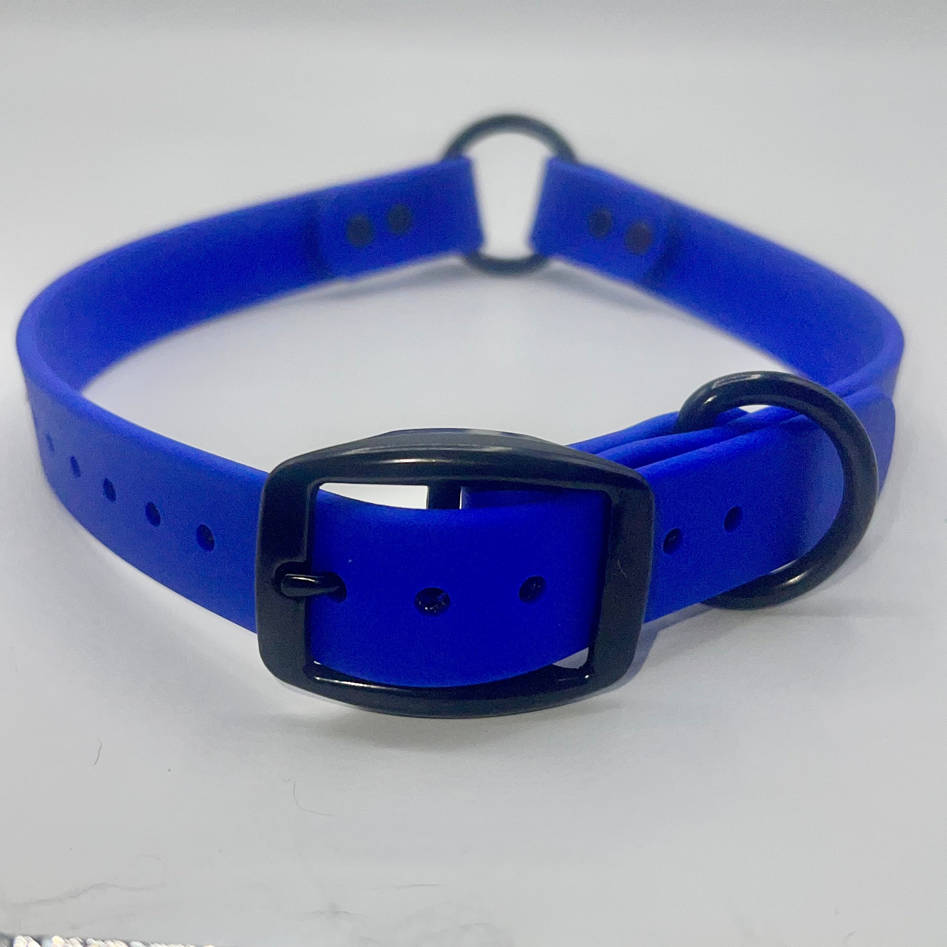 GDO BioThane Collars with DAWG Tag